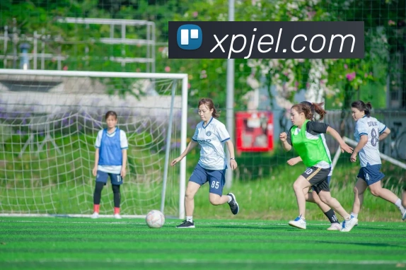 新葡京娱乐城APP 高清赛事图